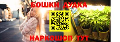 стафф Новозыбков