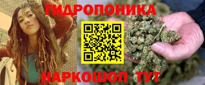 mdpv Новодвинск